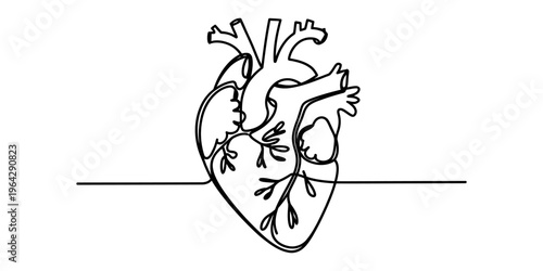 A minimalist single line drawing of the human heart isolated on a plain white background surface. Vector, illustration