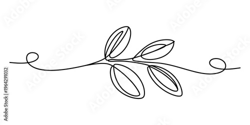 Φωτογραφία A minimalist single line drawing of a small sprig with leaves in black on a whit