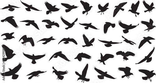 flock of migrating birds flying in formation vector illustration