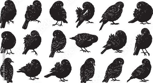 set of 36 bird grooming silhouettes flat design vector illustration