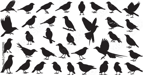 flock of diverse bird silhouettes flying perched vector illustration