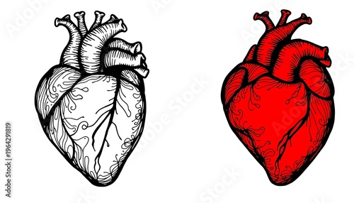 Two Hearts A Detailed, Hand-Drawn Style Intricate Line Patterns