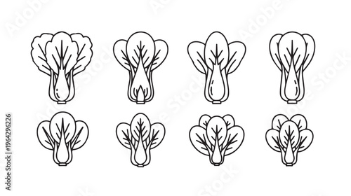 Bok Choy Vegetable Icons Line Art Simple Set Healthy Food Illustrations