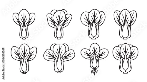 Bok Choy Vegetable Outline Icons Set Fresh Leafy Greens Collection