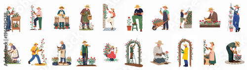 Diverse gardeners tending to rose bushes, pruning, planting, and caring for flowers, set of isolated flat vector illustrations.