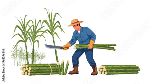 Sugarcane Harvest: A farmer expertly harvests sugarcane stalks in a field, capturing the essence of agricultural labor and the cultivation of this sweet crop.