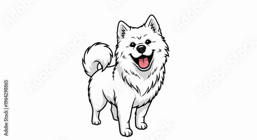Happy Samoyed dog standing and wagging its tail on white background  