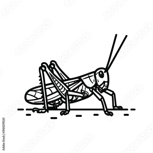 Insect grasshopper standing on ground looking sideways