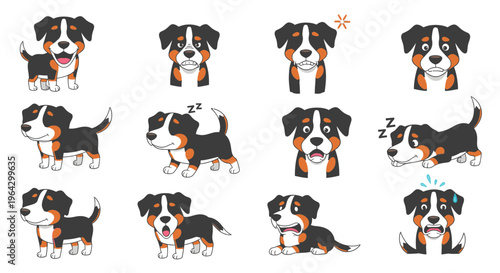Appenzeller Sennenhund dog illustrations showing various actions and emotions  