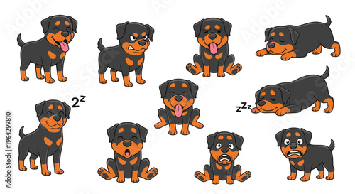 Rottweiler puppies showcasing various playful and relaxed expressions  