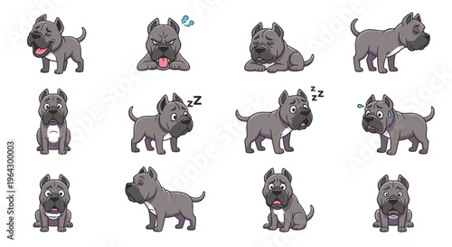 Cane Corso dog in various playful and emotional poses  
