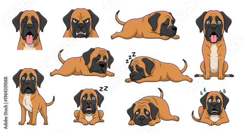 English Mastiff dog in various expressions and poses, cartoon style  