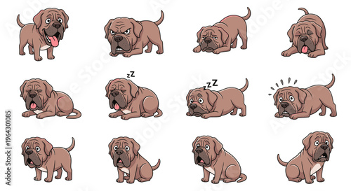 Neapolitan Mastiff puppy expressing various emotions in different poses  