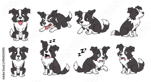 Animated Border Collie dog expressing different emotions and actions  