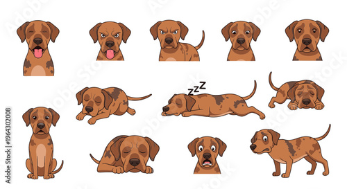 Catahoula Leopard Dog expressions and poses in cartoon style  