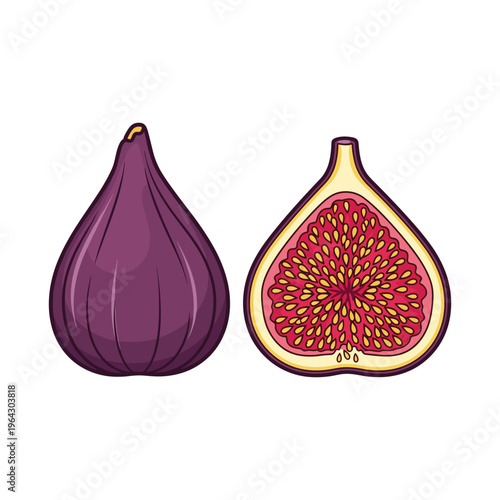 Whole and Half Ripe Purple Fig Fruit Isolated on White Background, Vector Illustration