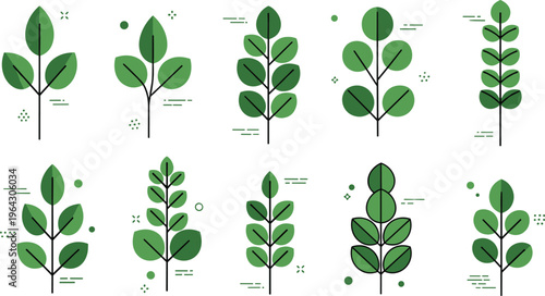 Minimal green plant icons set with simple leaves and stems flat botanical collection vector illustration isolated on white background