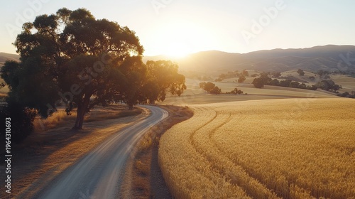 Serene countryside scene with a winding dirt road through golden wheat fields at sunset