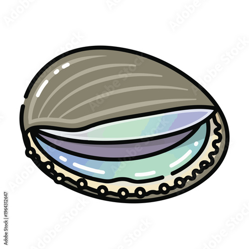 Open mollusk shell with colorful interior on white background