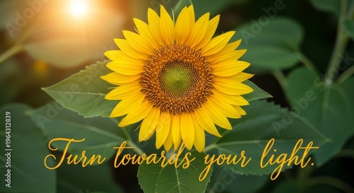 Vibrant Yellow Sunflower Facing the Sun