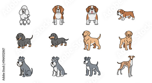 Collection of diverse dog breeds illustrated in a charming cartoon style