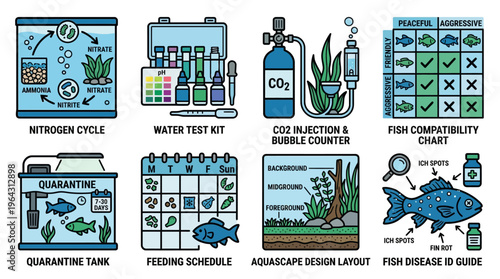 Aquarium Maintenance and Fish Care Guide Infographic Illustration Set
