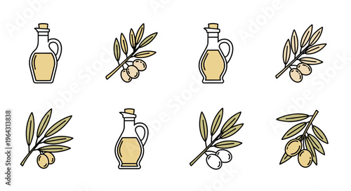 Collection of olive oil bottles and olive branches with olives