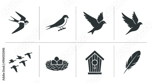 Collection of bird-related icons including swallows, geese, nest, birdhouse, and feather