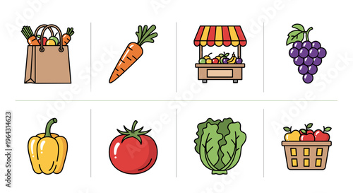 Collection of fresh fruits and vegetables in a simple flat illustration style