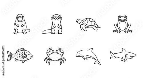 Collection of cute cartoon aquatic animals in a simple line art style