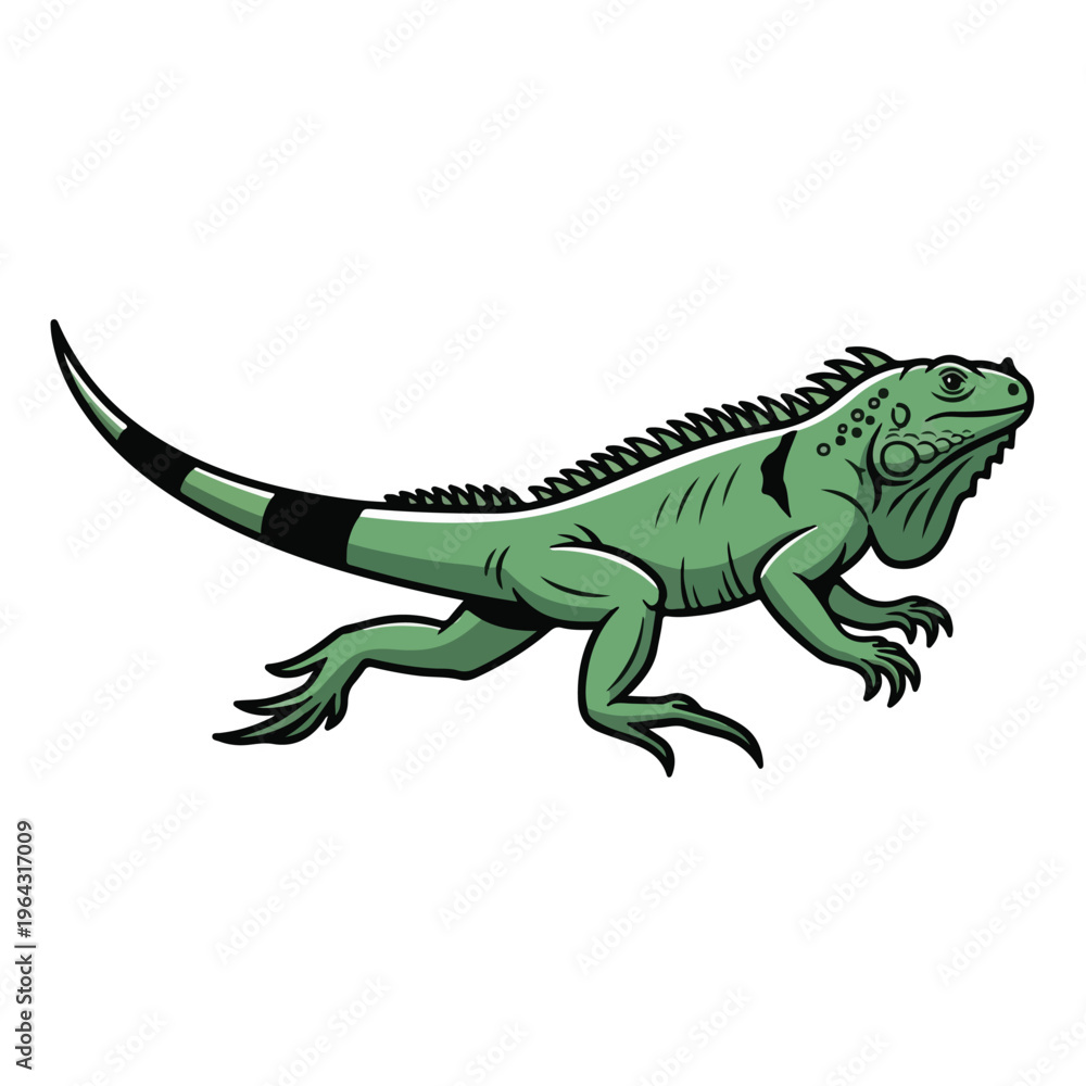 Obraz premium Green Iguana Reptile Walking Isolated on White Background