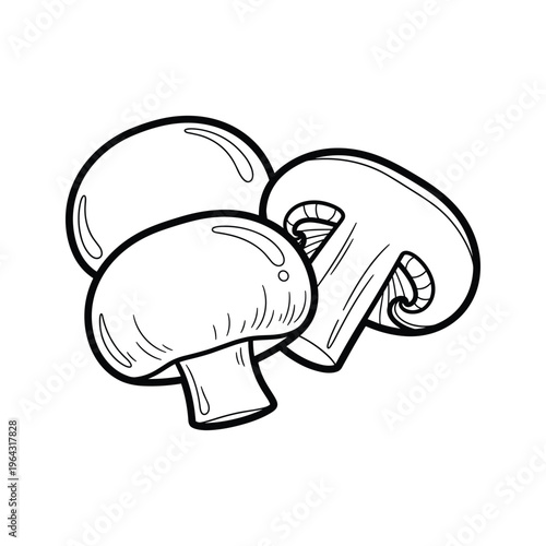 Mushroom Line Art Illustration