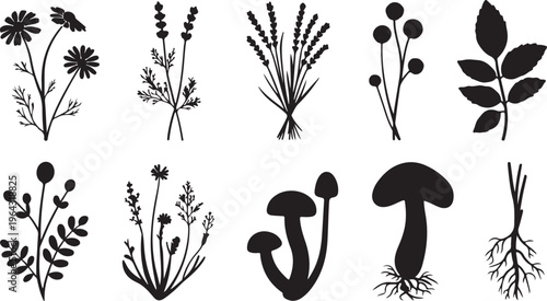 A collection of various hand drawn botanical silhouettes featuring wildflowers and mushrooms isolated on white background