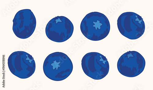 Blueberries Fruit Set Fresh and Juicy Berries Collection