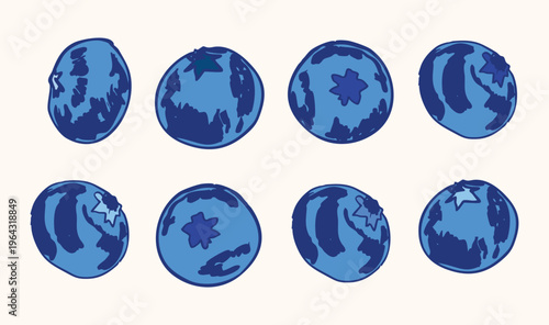 Farm Fresh Blueberries Collection – Berries Illustration