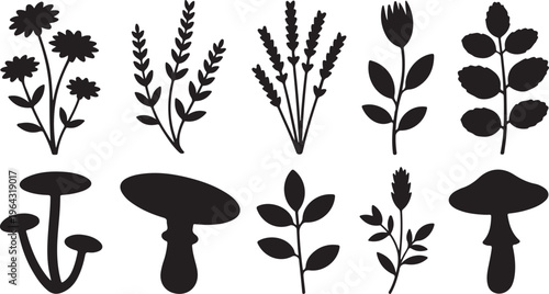 A collection of ten diverse botanical silhouettes featuring various flowers mushrooms and leaves isolated on white background