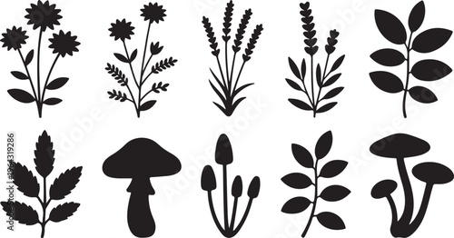 A collection of ten hand drawn botanical silhouettes featuring various flowers herbs and fungi isolated on white background
