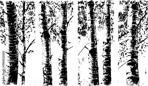 Black and white birch tree trunks with textured bark silhouette design pattern