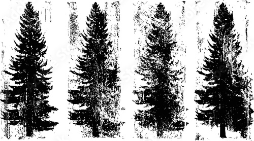 Various conifer tree silhouettes in black with detailed foliage and branches isolated on white background