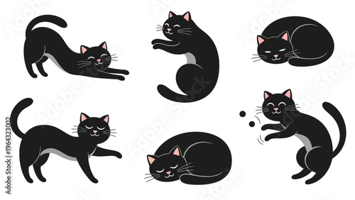 Collection of six black cats in various poses, stretching, playing, and sleeping.