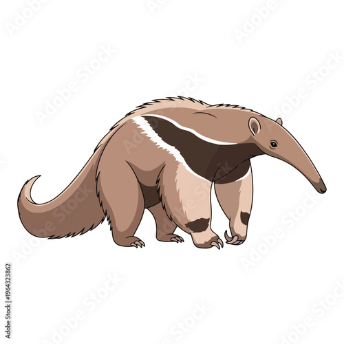 Brown anteater standing on white background looking right