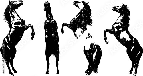 black silhouette horses rearing up in dynamic poses set isolated on white background