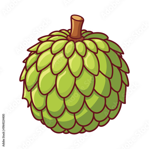 Custard Apple Vector Illustration - Sweet Exotic Fruit Icon