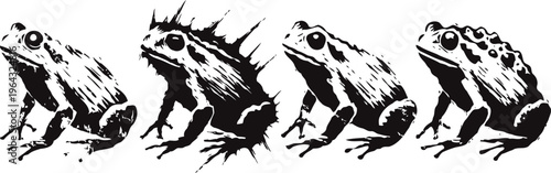 Illustration of four different frog and toad species showing side profiles and distinctive skin textures