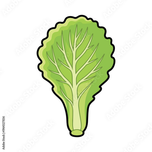 Green Lettuce Leaf Illustration - Healthy Food and Salad Ingredient Icon