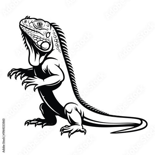 Black and white drawing of an iguana standing on hind legs