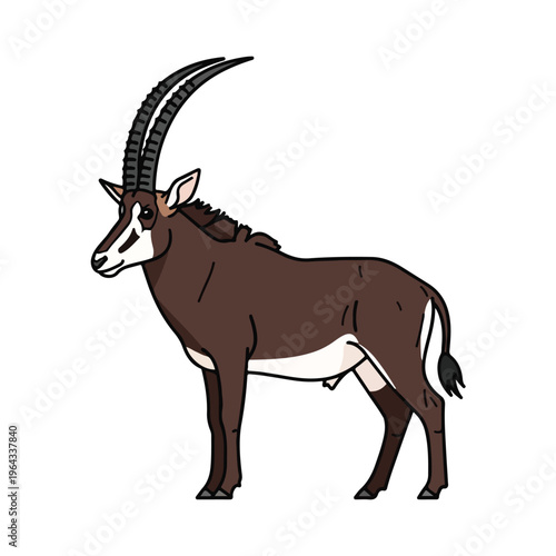 Brown and white antelope with long horns standing isolated