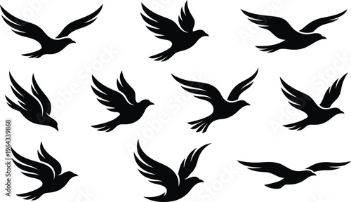 Black silhouettes of birds in various flying positions on white background