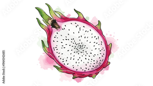 Dragon Fruit Slice Watercolor Illustration - Exotic Food & Tropical Fruit Design Element