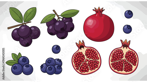 Fresh Blueberries & Pomegranates - Healthy Fruit Collection for Food Brands & Design